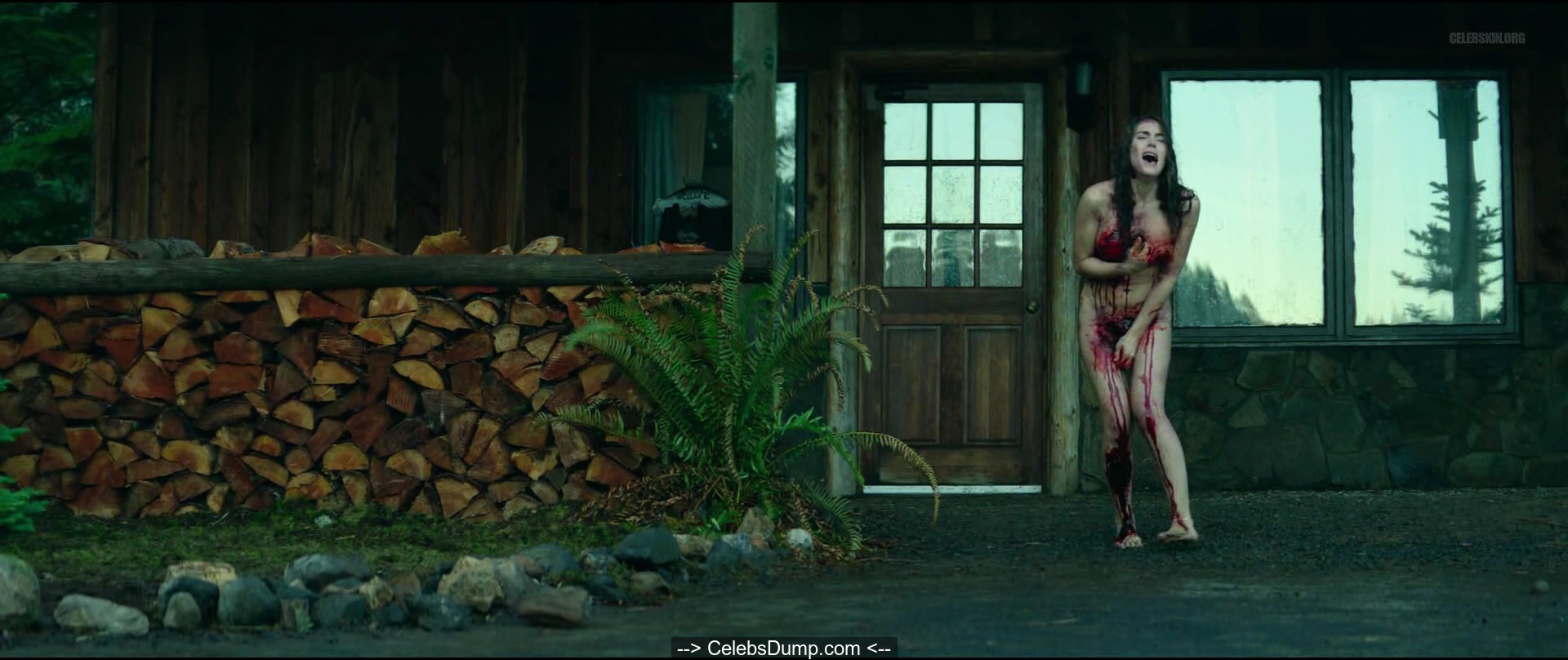 Matthew Daddario Sexy, Shirtless Scene In Cabin Fever