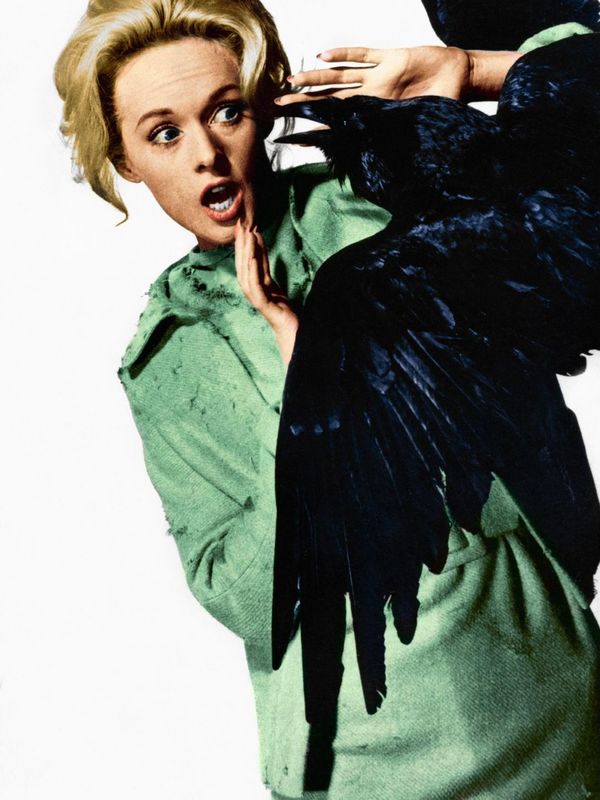 Tippi Hedren - The Birds (1965) stills & promotional photos.