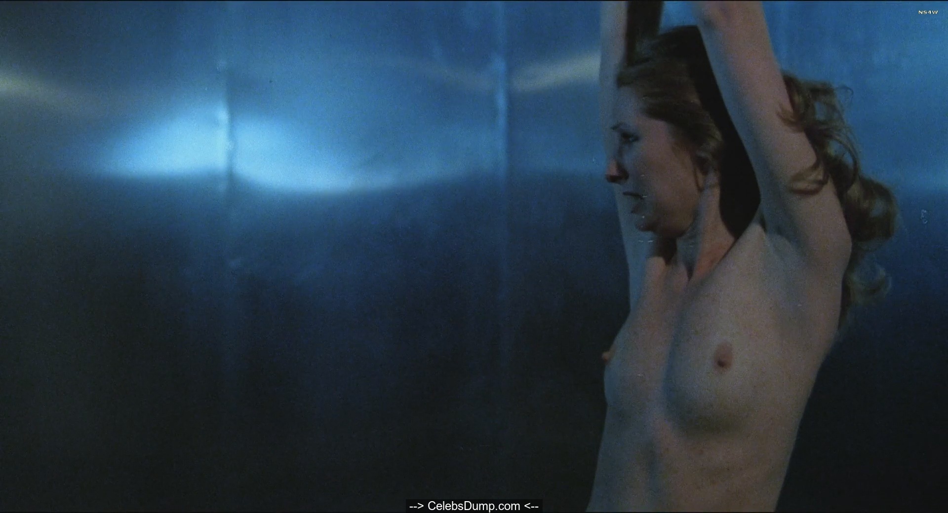 Johanna Brushay fully nude at Don't Go In The House (1980) .