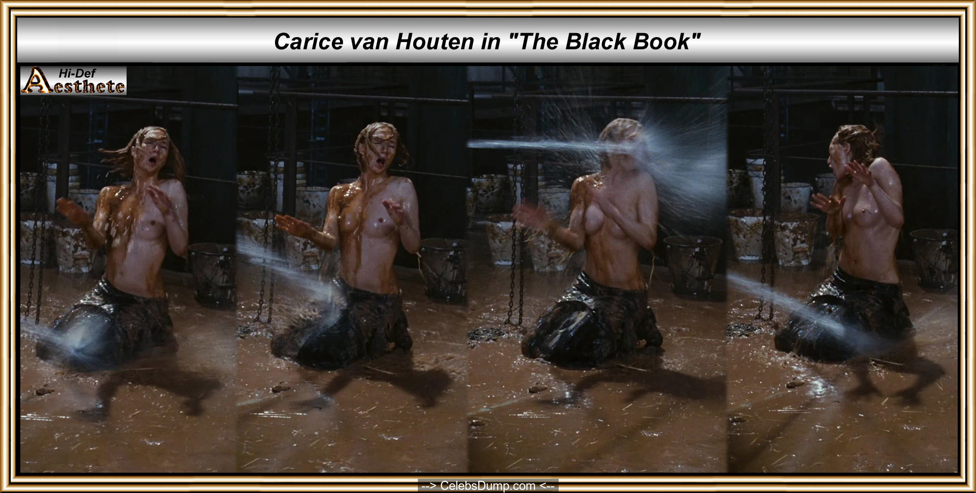 Carice Van Houten nude boobs and ass at Zwartboek AKA Black 