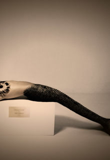 Brittany Daniel - Mermaids of Hollywood 2011