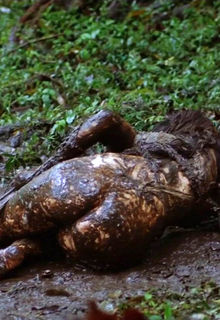 Mallika Sherawat naked at Hisss (2010)