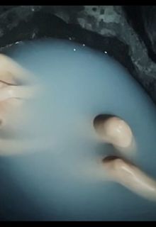 Dakota Johnson, Anne Hathaway nude at Verity (2026)